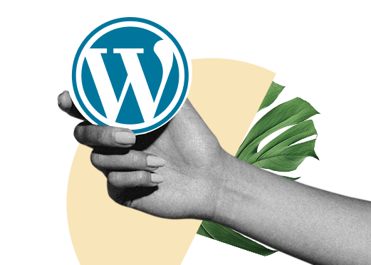 Services 47 wordpress