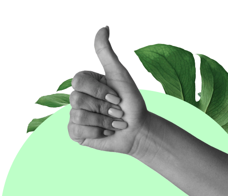 feedback