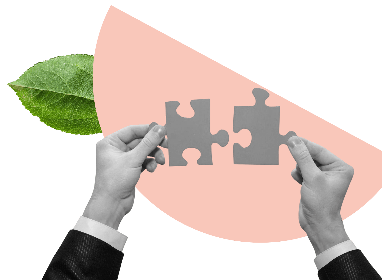 Building-Better-Alternatives-Legacy-Systems