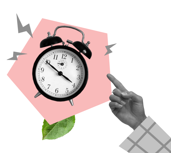 Custom Software Development 36 Efficiency