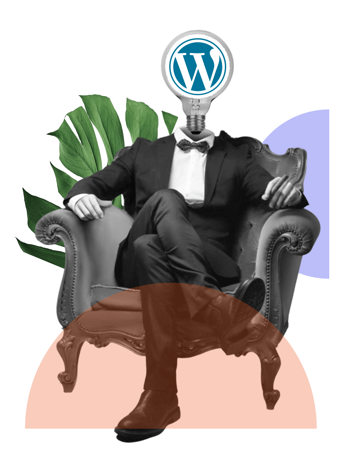 wordpress-process