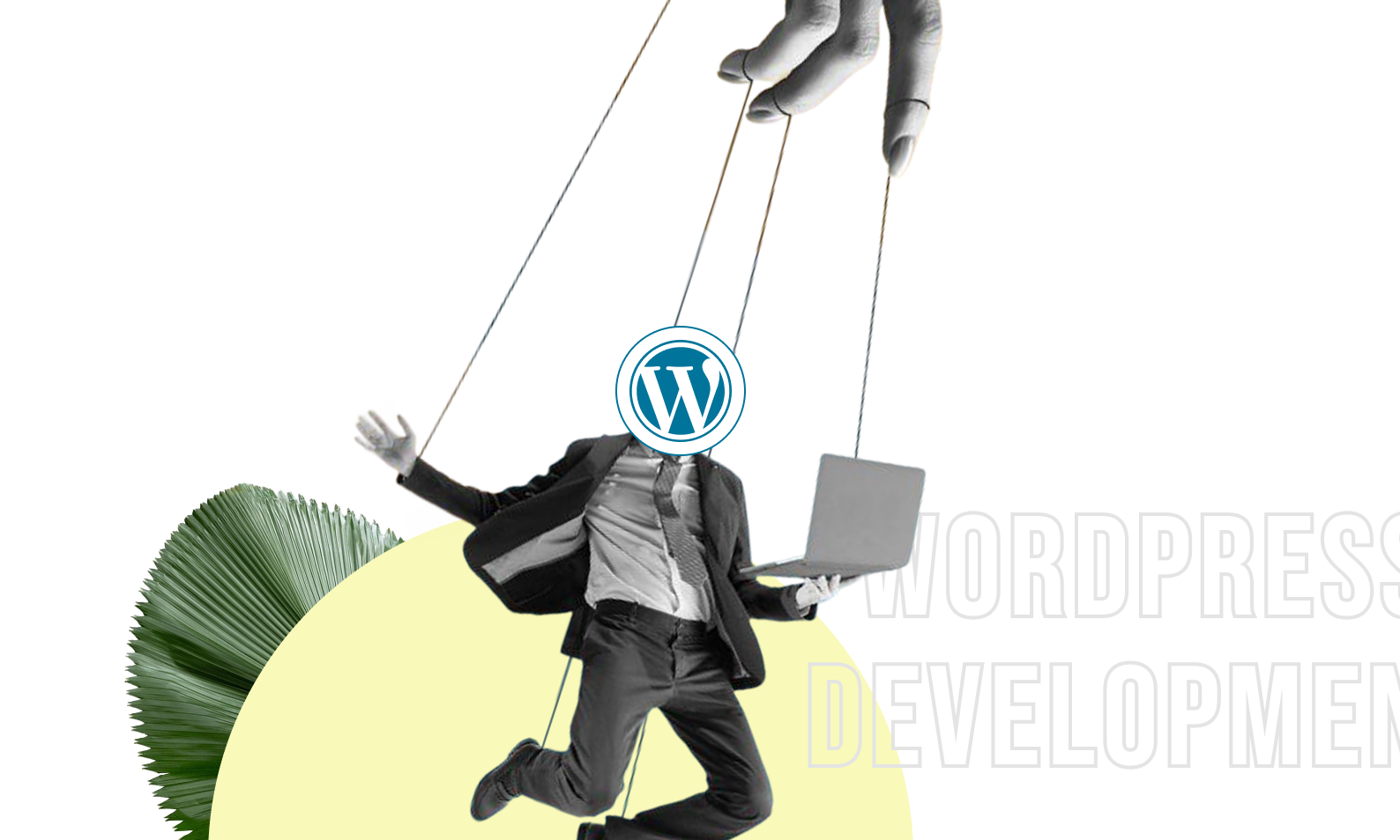 wordpress development