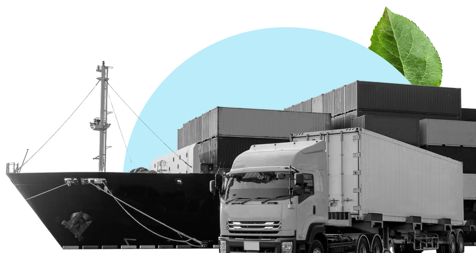 Logistics-Shipping-Providers