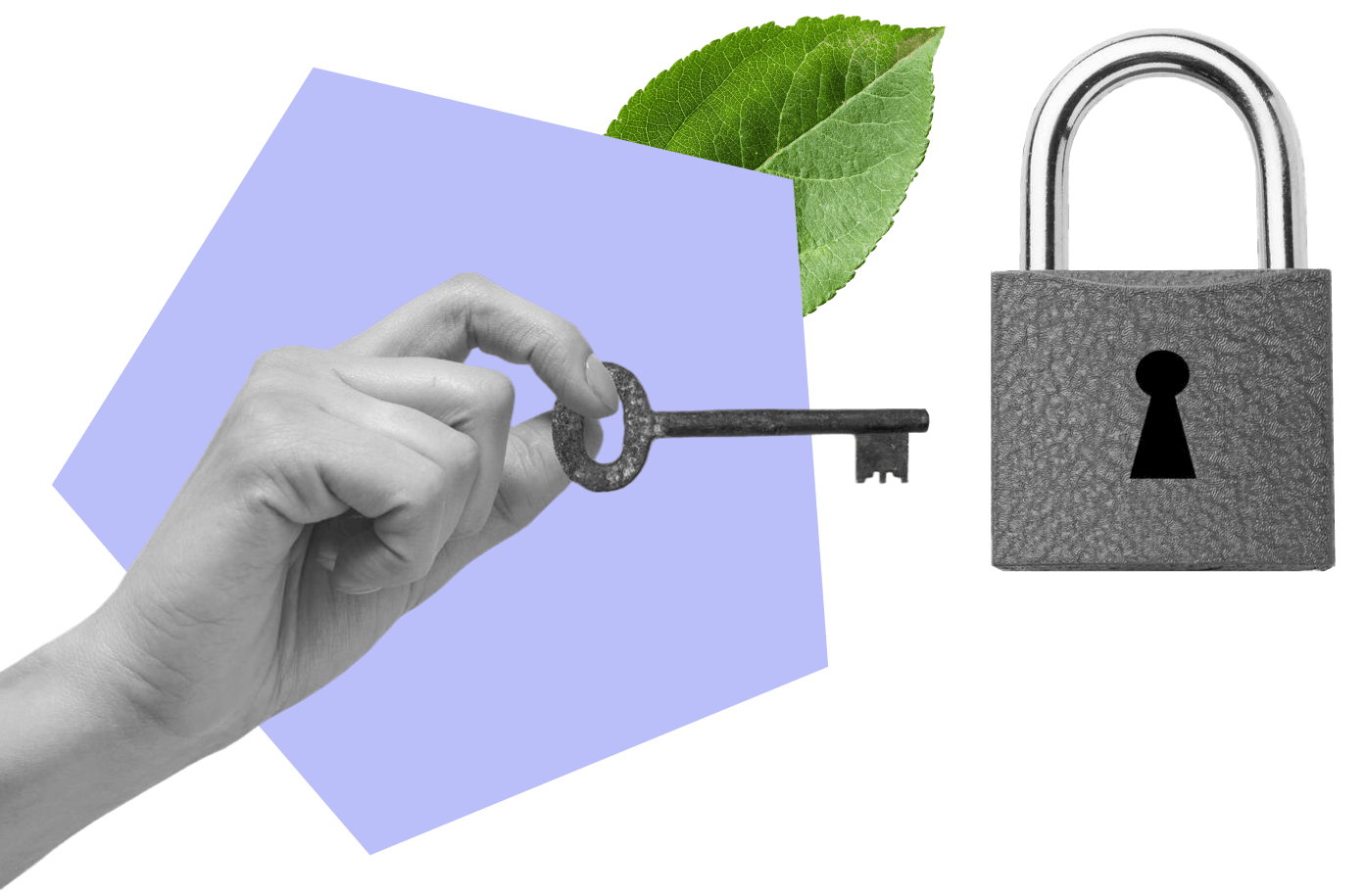 Role-Based-Permissions-Access-Rules