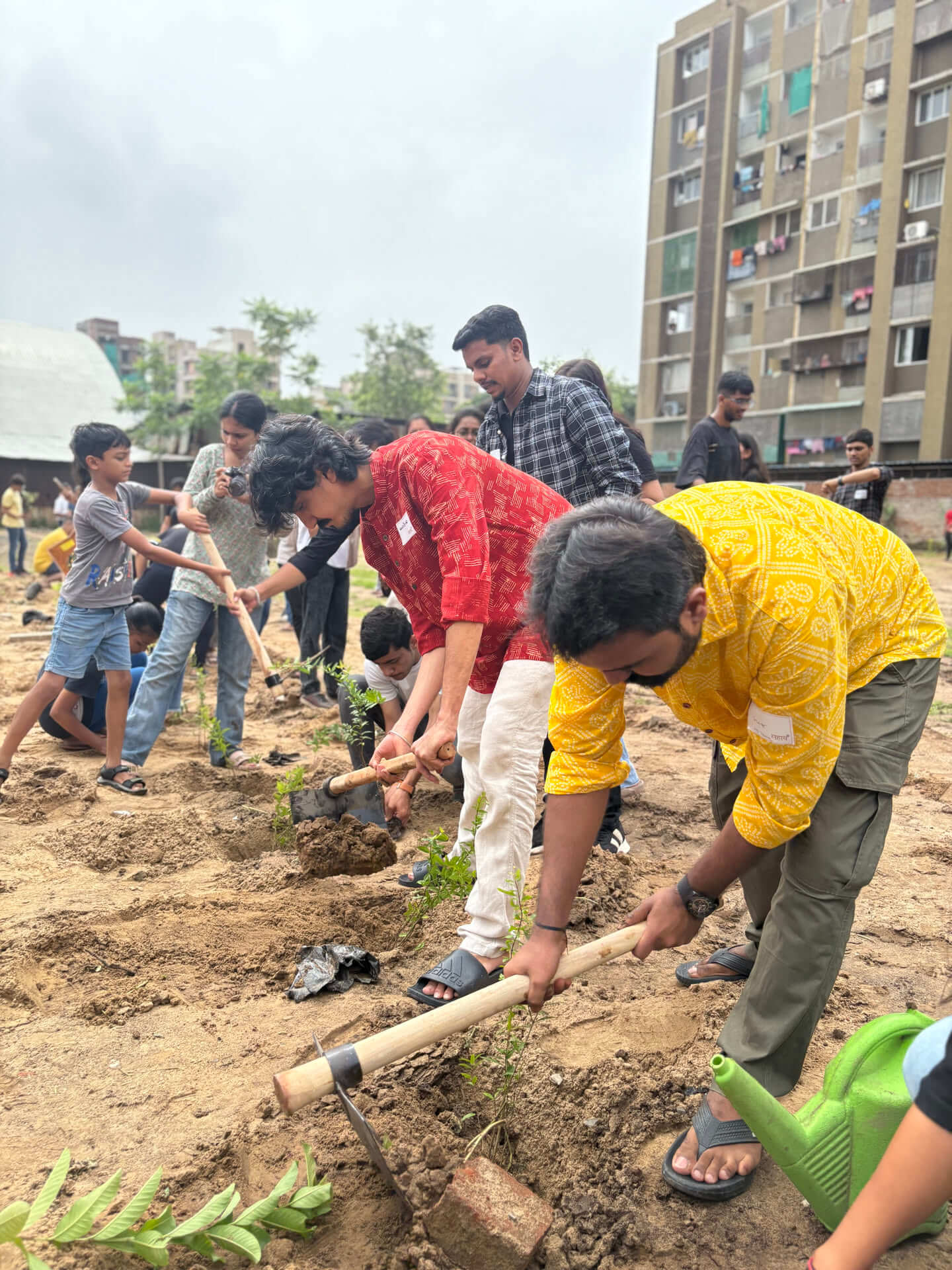 plantation-2025-3