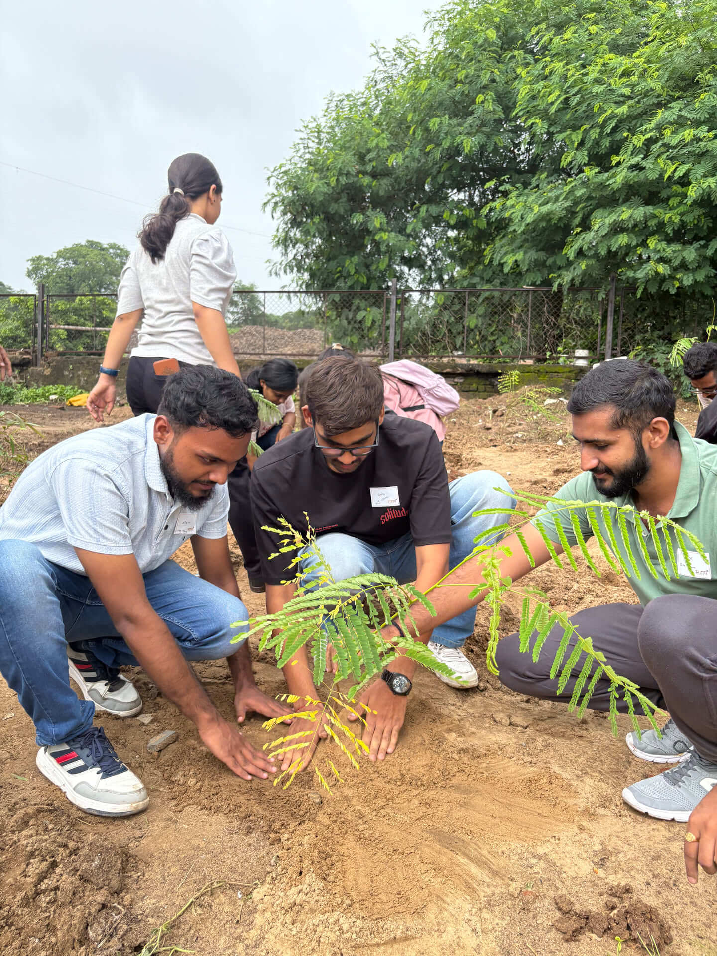 plantation-2025-6
